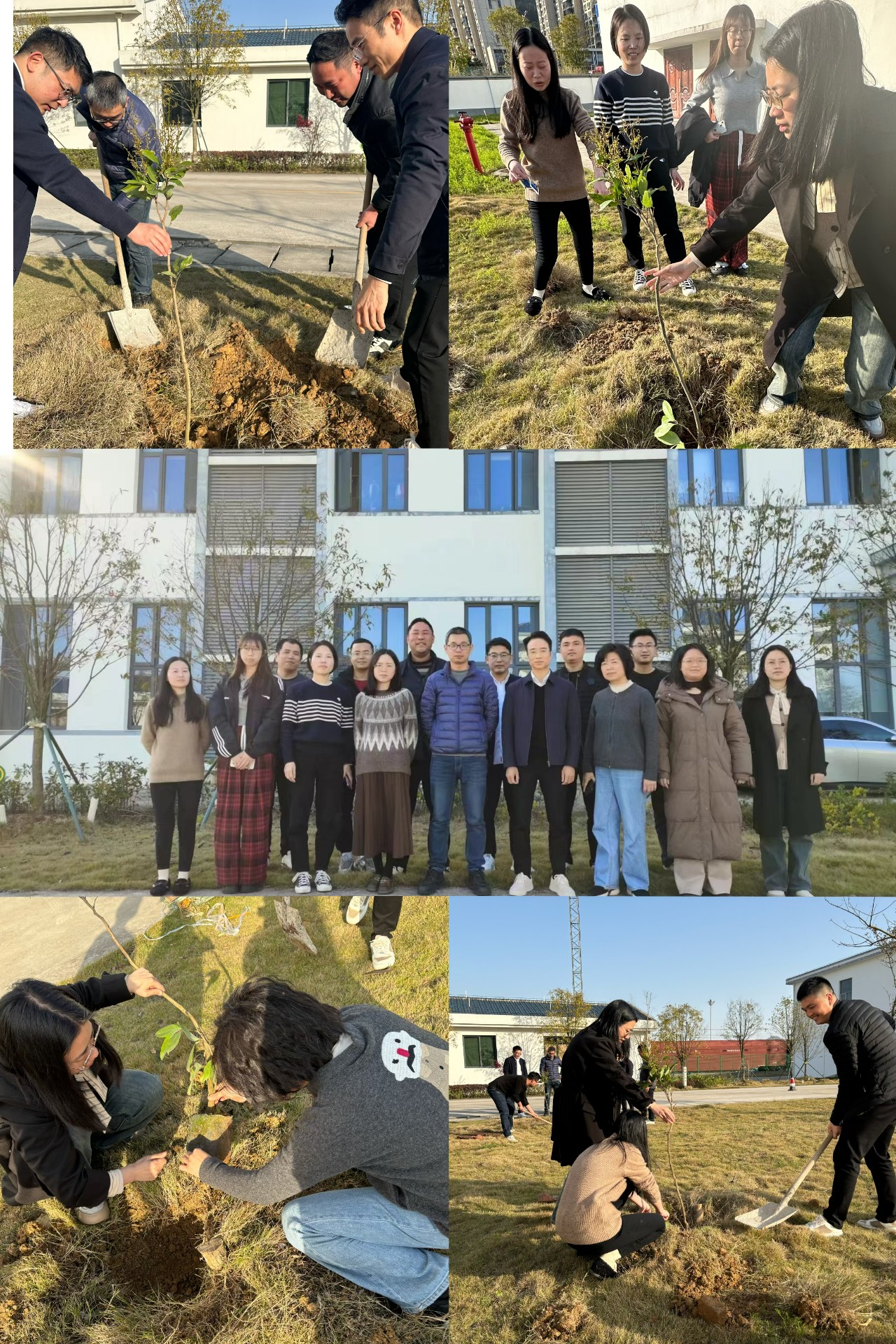2024-3-12綠色陸港，美麗寧德，阮克妙拍攝.jpg