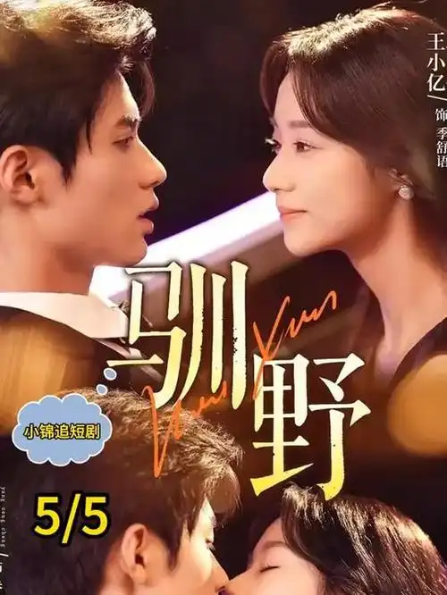 暗夜追踪 热播第六名